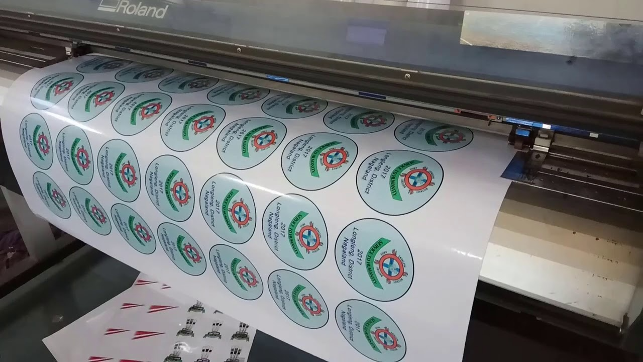 vinyl printer